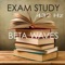 Music for Concentration (Brain Waves & Sea Waves) - Exam Study Classical Music Orchestra lyrics