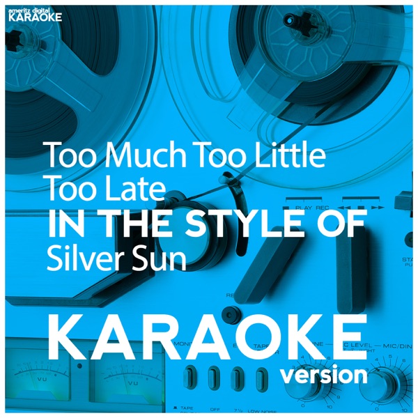 Too Much Too Little by Silver Sun on Coast ROCK