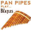 Pan Pipes Play the Beatles - Salsa Rosso
