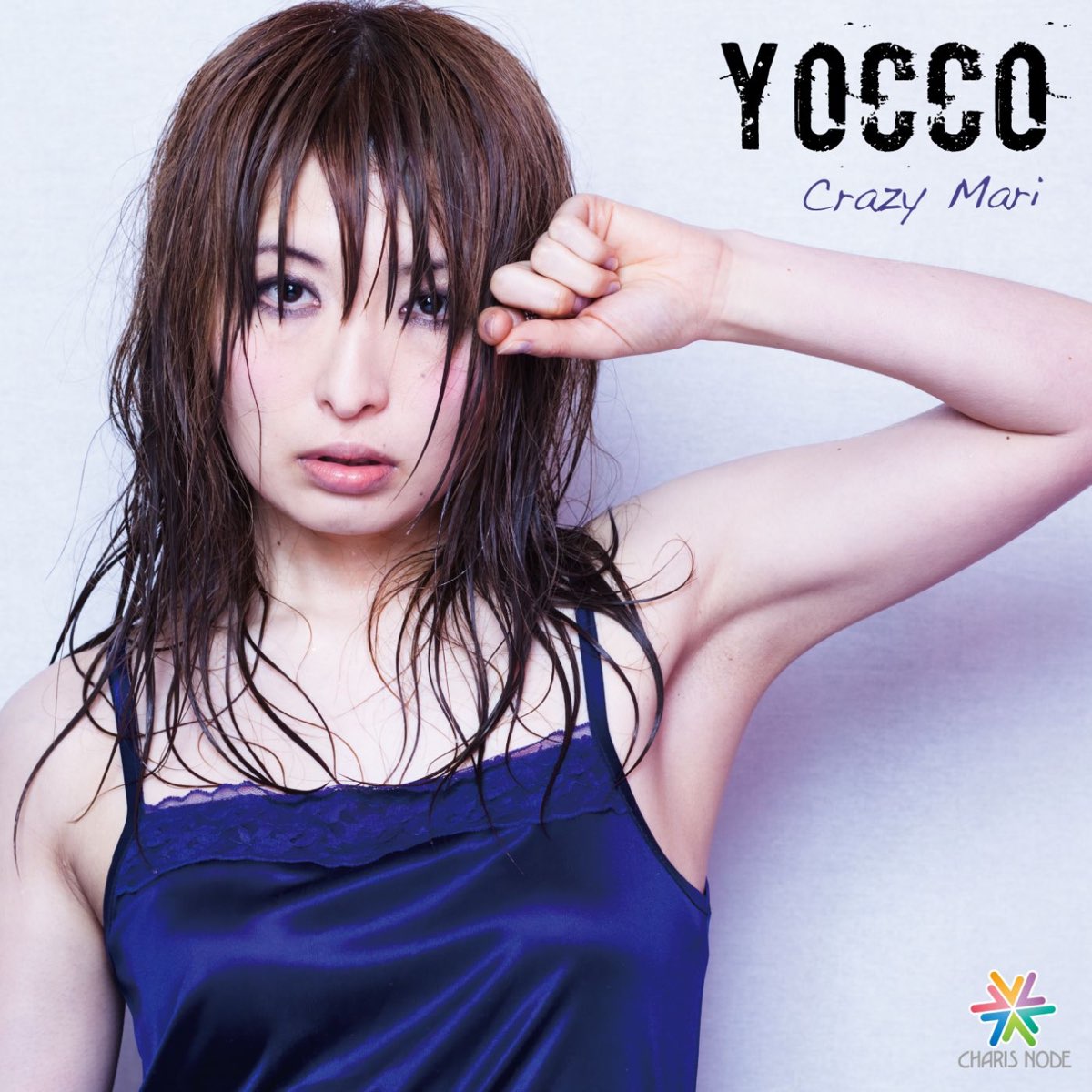 Yokko☆様専用 注文 yokkoさま専用カート💙☆。.:＊・゜