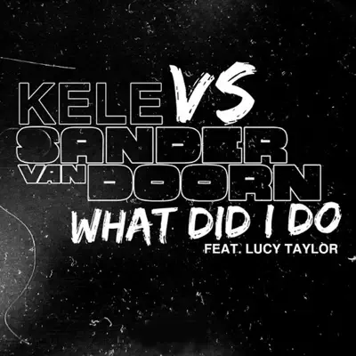 What Did I Do (feat. Lucy Taylor) - Single - Kele