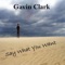 The Perfect Girl - Gavin Clark lyrics