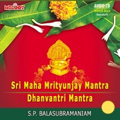 Sri Maha Mrityunjay Mantra / Dhanvantri Mantra ( Divine Chants ) artwork