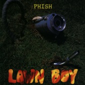 Phish - Split Open and Melt (LP Version)