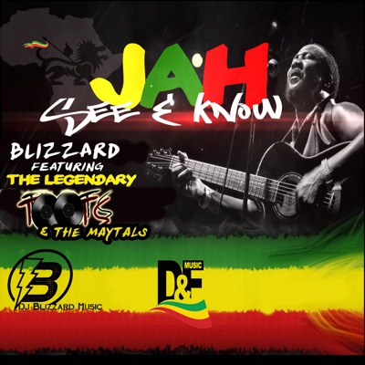 Jah See and Know (feat. Toots & the Maytals) - Single