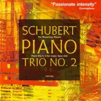 Piano Trio in E-Flat Major, Op.100 (D.929): II. Andante con moto — The Mozartean Players