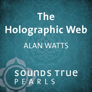 The Holographic Web: Uncovering Our Hidden Connections to the Universe