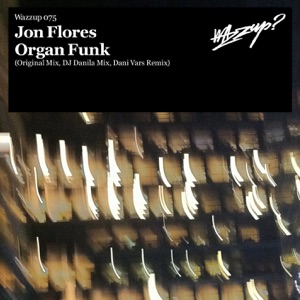 Organ Funk - EP