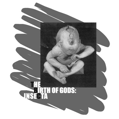 The Birth of Gods: Insecta