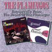 Requestfully Yours - The Sound of the Flamingos artwork