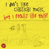 I Don't Like Classical Music, but I Really Like This! artwork
