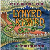 Pickin' On Lynyrd Skynyrd artwork