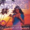 Bubblegum On My Boots - Springbok Nude Girls lyrics
