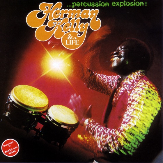 Cover artwork for Dance to the Drummer's Beat
