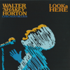 Big Walter's Boogie - Big Walter Horton