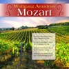 Amadeus Mozart - Horn Concerto No. 1 in D Major, K. 412: II. Rondo. Allegro