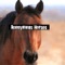 Kasm Jump - Anonymous Horses lyrics