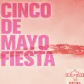 Mi Ritmo Llego