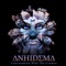 Luna Moth - Anhidema lyrics