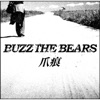 BUZZ THE BEARS