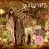 Guillemots - Southern Winds