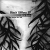 Black Willow - Single