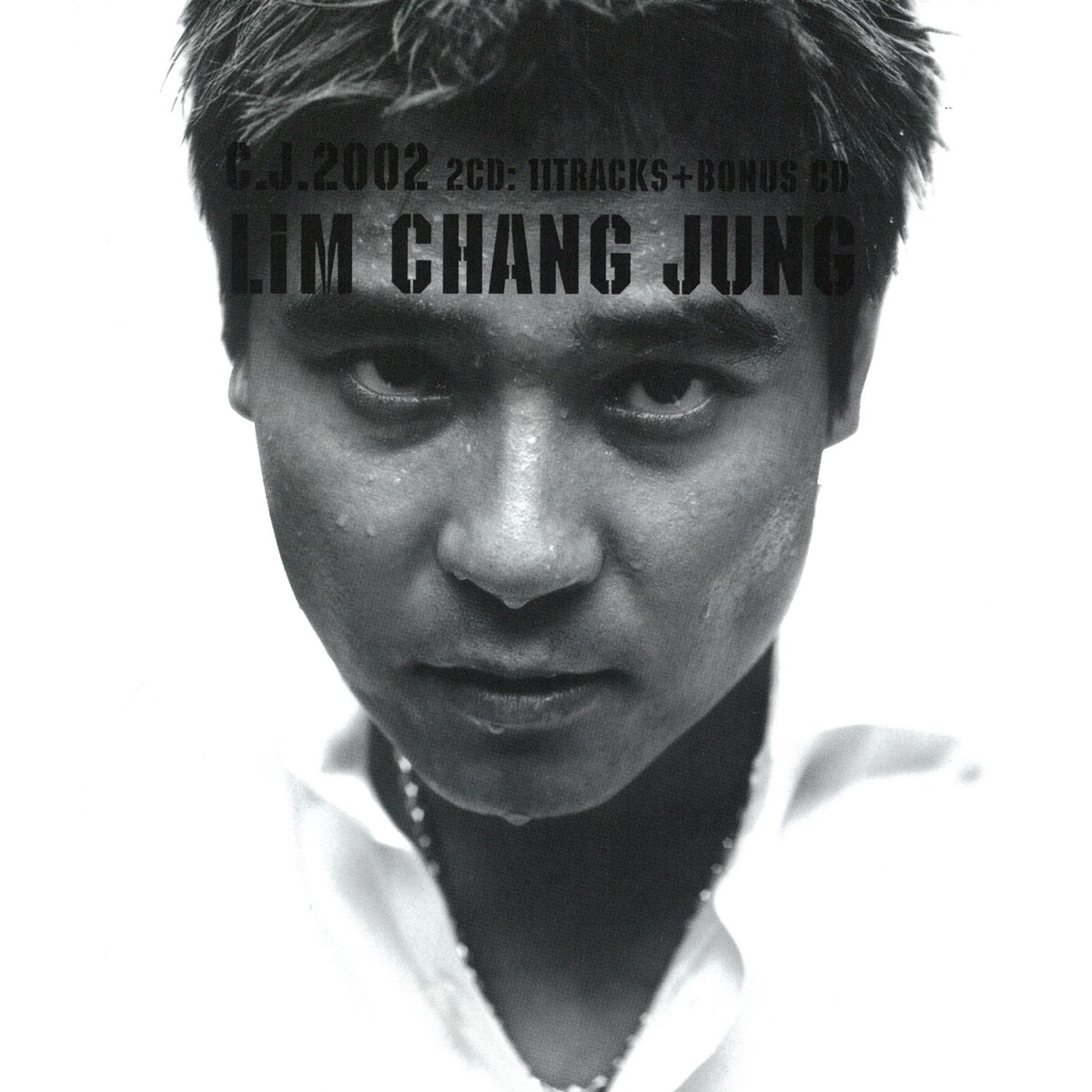 Im Chang-jung 任昌丁 – 구집(鳩集): C.J.2002 (2002) [iTunes Plus AAC M4A]-新房子