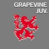 GRAPEVINE