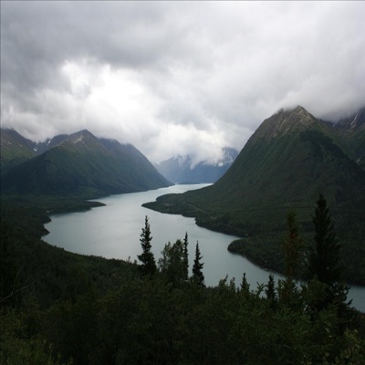 Tango (Violin Version) - Single