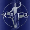 Nato, 1994