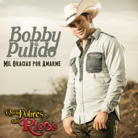 Mil Gracias por Amarme - Single - Bobby Pulido