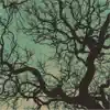 Föllakzoid - El Humo