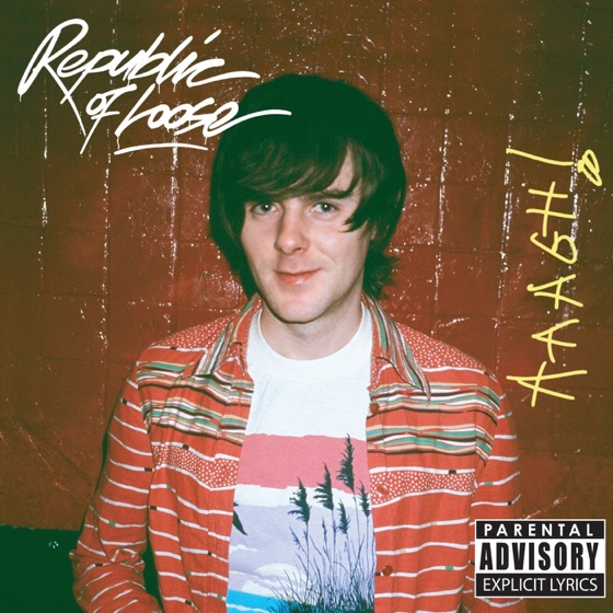 Cover artwork for The Idiots