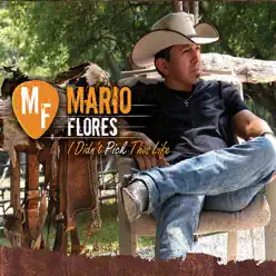 I Didn't Pick This Life - Mario Flores I Didn't Pick This Life - Mario Flores