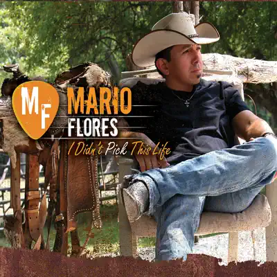 I Didn't Pick This Life - Mario Flores I Didn't Pick This Life - Mario Flores