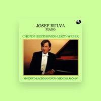 Josef Bulva