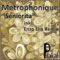 Rikama (Enzo Elia Social Strings Remix) - Metrophonique lyrics