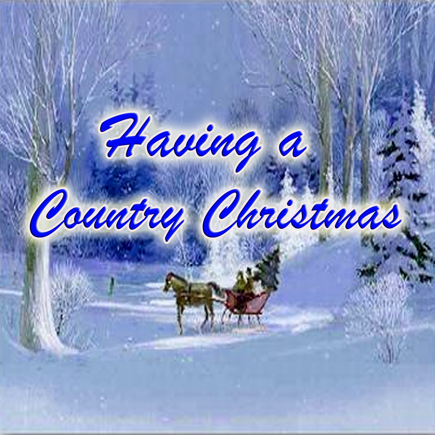 Having a Country Christmas