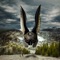 Hurry (Lovin' Is Crazy) [feat. Jhameel] - Surrender lyrics