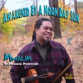 Mwalim Daphunkee Professor - Awakened By a Noon Day Sun