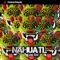 Pescador de Fuego (Tor.ma in Dub Remix) - Nahuatl Sound System lyrics