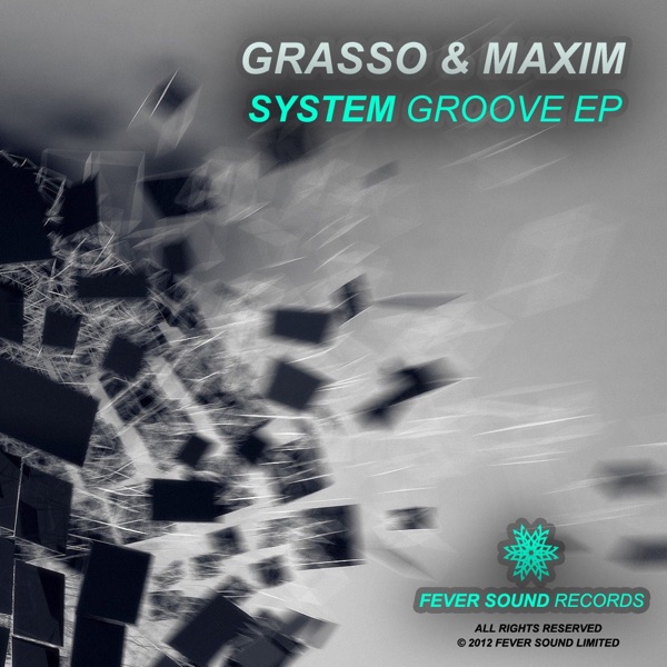 System Groove - Single