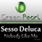Nobody Like Me (Jeff Service Mix) - Sesso DeLuca lyrics