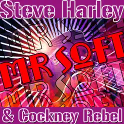 Mr Soft (Live) - Steve Harley and Cockney Rebel