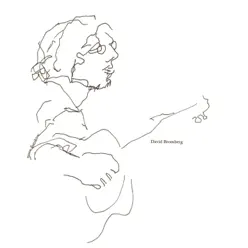 David Bromberg - David Bromberg David Bromberg - David Bromberg
