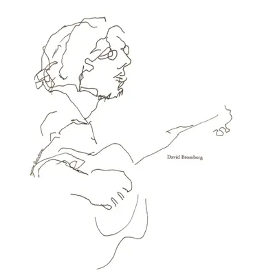 David Bromberg - David Bromberg