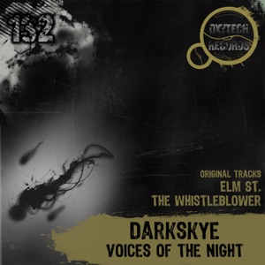 Voices of the Night - Single