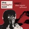 The Twilight Sad - Made To Disappear