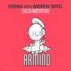 Bobina & Andrew Rayel