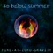 Fire At Zero Gravity - 40 Below Summer lyrics